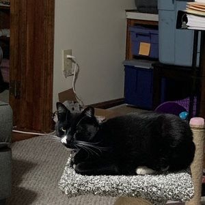 Meet your Posher, Jenn